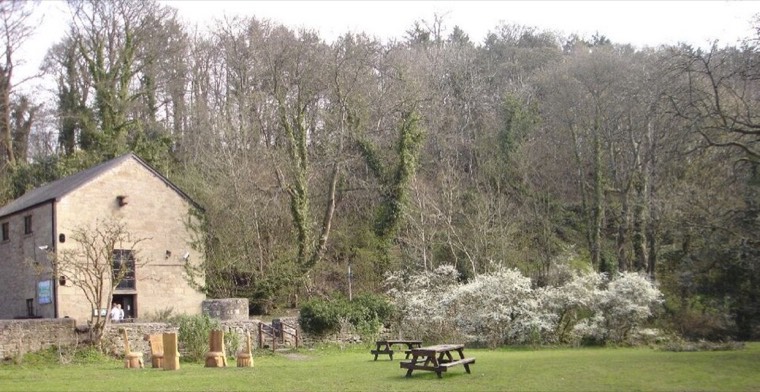 Clywedog Trail